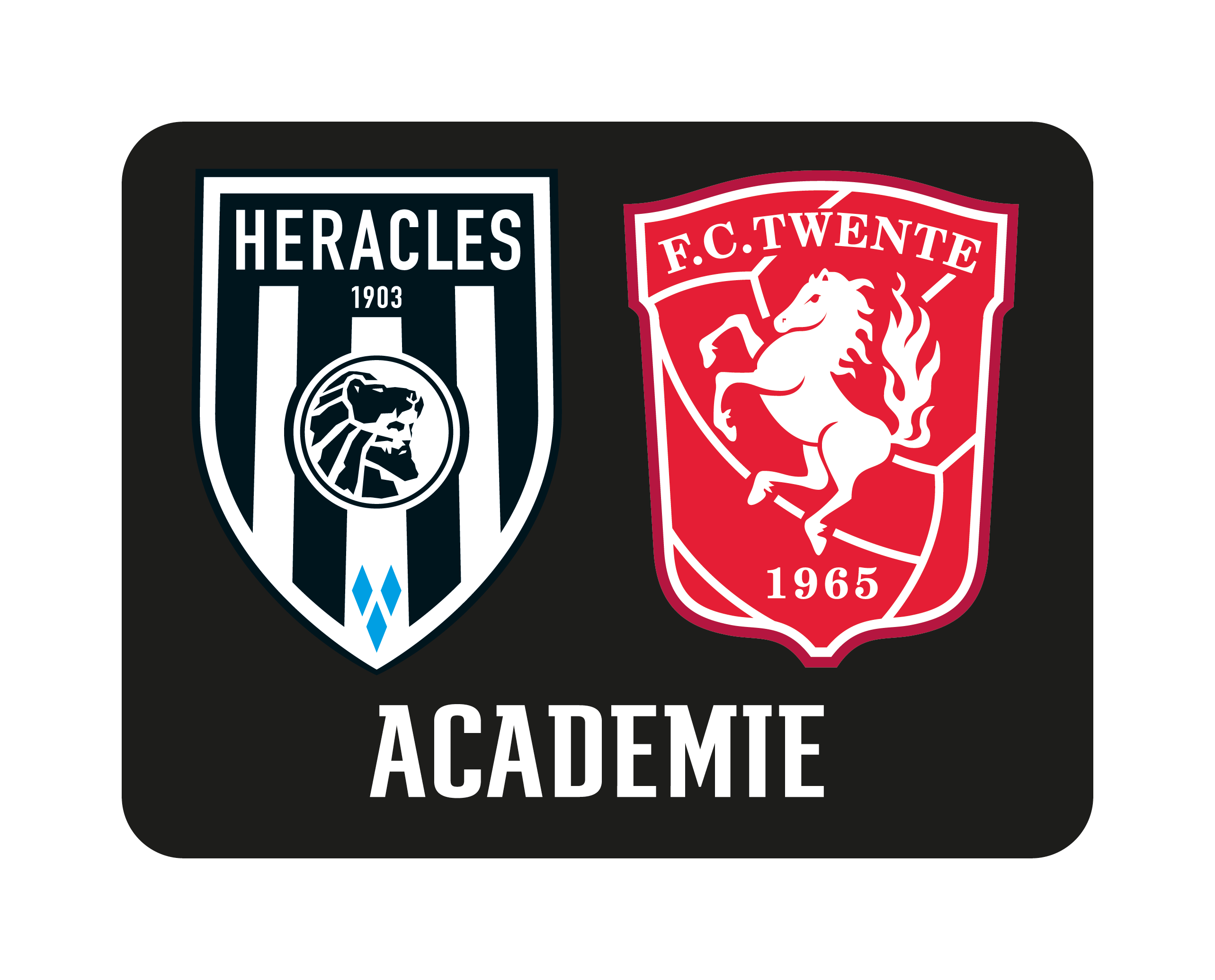 Academie Pas Logo